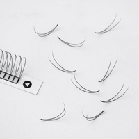 Extensions de cils de volume d'usine 2D 0.05 0.07 0.1MM noir rose bleu ventilateurs de cils préfabriqués tige courte Extensions de cils russes