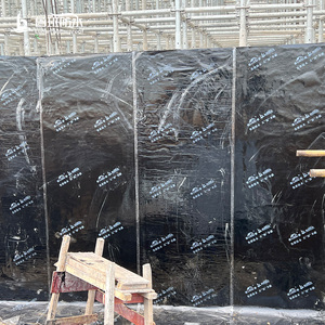 Membrane d'étanchéité industrielle en asphalte modifié aux polymères auto-adhésive 4,0 mm Type II pour matériaux de construction murale LV DU N II PET 4,0 mm - Product Image 3