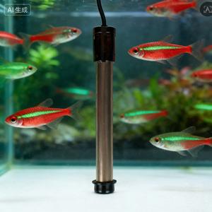 500watt/110V/220V AC titanium water heater with US <strong>plug</strong> - Product Image 2