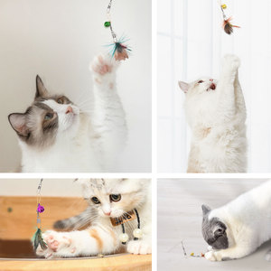 Giocattolo di Lusso per Gatti a Forma di Insetto con Piuma Realistica, Campanello e Piccole Piume, Gioco Interattivo per Animali Domestici, Vendita all'Ingrosso - Product Image 5