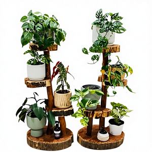 Tabla de Cortar de Madera Moderna, Caja de Almacenamiento de Cocina de Múltiples Niveles, Diseño Rústico para Sala de Estar - Product Image 1