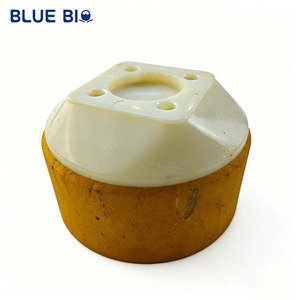 Siège de connexion prothétique pour clinique orthopédique WCS-1, siège de connexion en bois pour ajustement par prothésiste - Product Image 2