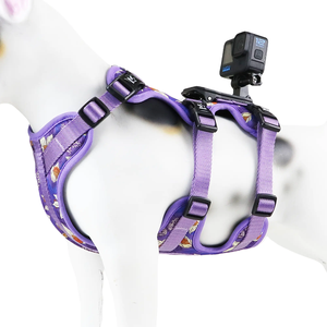 Ensemble de <span class=keywords><strong>harnais</strong></span> pour chien No Escape - Collier de sécurité réglable et laisse avec support pour caméra d'action, équipement pour animaux de compagnie de qualité supérieure - Product Image 5