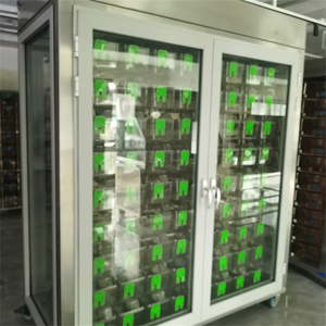 Lab <span class=keywords><strong>Ivc</strong></span> sistema a gabbia ventilato singolarmente SPF roditore topo topo gabbia di allevamento di ratti - Product Image 4