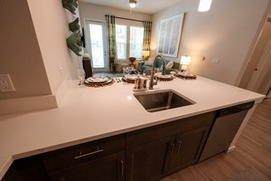 Tùy Chỉnh Veneer Sơn Lắc Gỗ Màu Tủ Bếp Tủ Gỗ Rắn Đồ Nội Thất Nhà Bếp Bộ Với Đảo - Product Image 3