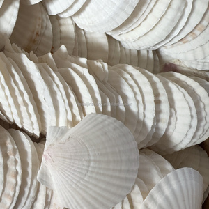 手作りオーシャンテーマ装飾アート-DIYシーシェルクラフトプロジェクトクリスマスプレゼントプレゼント - Product Image 6