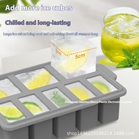 Moule à glace à 8 grilles de grande capacité de qualité alimentaire démoulage facile boîte à glace rapide plastique durable pour l'été
