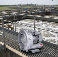 Industriële ringblazer 2,2 kW 380V 220V voor voedseldehydratatie en het drogen van fruit en groenten