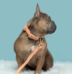 Collare per Cani di Lusso dal Design Tattico, Regolabile, Impermeabile, in Nylon Rivestito in PVC, con Sgancio Rapido e Guinzaglio Incluso, Taglie <span class=keywords><strong>S</strong></span> M <span class=keywords><strong>L</strong></span> - Product Image 2