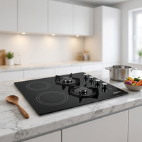 Pasokan Langsung Pabrik 2 Kompor Gas 2 Kompor Listrik Kombinasi Hybrid untuk Memasak Keluarga