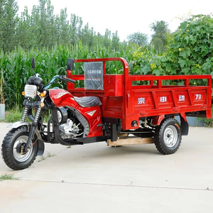 Triciclo de Carga Motorizado Rojo de 151-200cc, Carrocería Abierta, Capacidad de Carga de 300-400kg para Uso en Transporte - Product Image 2