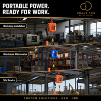 Mini-treuil électrique à câble PA et mini-treuil électrique à chaîne Lift King Hoists