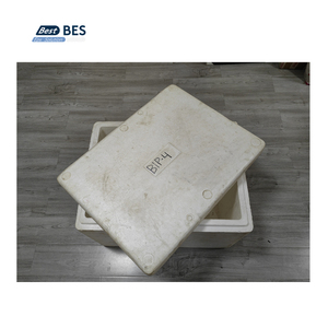 BES EPS Cá hộp Khuôn Rau Hộp khuôn Băng Hộp khuôn cho EPS máy dây chuyền sản xuất - Product Image 6