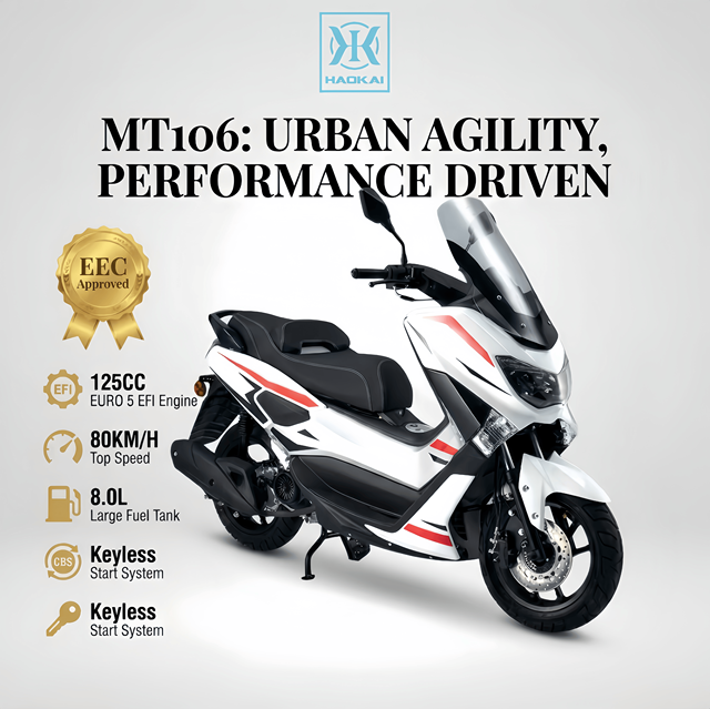 EEC 125CC 4 Stroke Air Cooled Gas Scooter EURO 5 CBS Disc Brakes Keyless Start 80km/h Top Speed 8L Fuel Tank