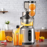 Multifunctionele, makkelijk te reinigen sapcentrifuge met grote opening voor fruit en groenten, commerciële slowjuicer met koude persing