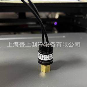 Pressostat H20PS 1,3 MPa Déconnexion 1,6 MPa Connexion Type Gaz pour Contrôle de Réfrigération - Product Image 4