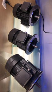 มอเตอร์ไร้แปรงถ่าน 24VDC 2000w - Product Image 5
