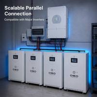 Paquete de Baterías LiFePO4 Vanessa DIY de 16KWH 51.2V 314Ah 300Ah 15Kw 16 15 Kwh 15Kwh, Paquete de Almacenamiento de Energía Doméstica de 48V, Batería de Litio