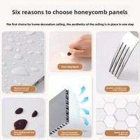 Panneau en nid d'abeille en aluminium personnalisé pour la décoration intérieure et les bâtiments publics et commerciaux, pour les armoires, les murs, les plafonds, les cloisons