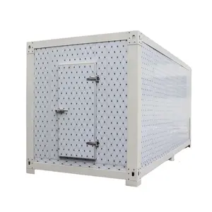 All in one Refrigeration Chiller Freezer Room Cold Room Storage Freezers System For Fruit Storage Price