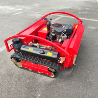 Pente télécommande tondeuse à gazon Rc herbe découpeuse Agriculture Robot débroussailleuse tondeuse tracteur CE 48V 4 temps moteur