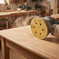 Disque de ponçage pour le polissage des surfaces en bois, abrasif humide et sec, papier abrasif rapide
