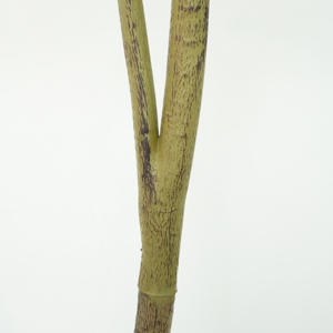 Presque Naturel 3ft Artificielle Petits Oliviers <span class=keywords><strong>Pot</strong></span> Table Plante Mini Arbre <span class=keywords><strong>pour</strong></span> Intérieur Maison Bureau Salon Décoration Moderne - Product Image 5