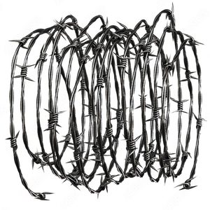 Giá bán buôn dây thép gai cho Tường An ninh dây thép gai 500 mét dây thép gai mô hình khác nhau - Product Image 3