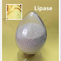 Fabricant d'enzyme lipase de haute qualité en provenance de Chine