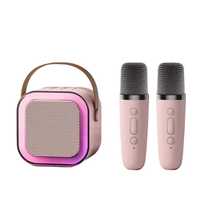 Haut-parleur sans fil portable 2-en-1 SY-13 pour enfants avec microphone, idéal pour le karaoké à domicile et les fêtes en extérieur