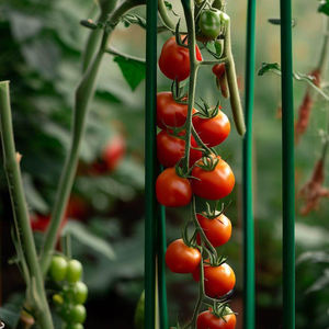 Bâton en fibre de verre FRP pour le soutien et l'escalade des plantes - Product Image 2