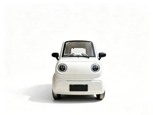 Scooter Eléctrico Yunlong <span class=keywords><strong>Q5</strong></span> EEC L6e con Asientos de Cuero, Cámara Trasera, Sin Necesidad de Licencia de Conducir, para Movilidad de Personas Mayores - Product Image 3