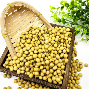 Hạt Đậu Nành Vàng Tự Nhiên Và Không Biến Đổi Gen Chất Lượng Cao/Đậu Nành/Đậu Nành - Product Image 4