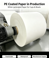 Papel Kraft Recubierto de PE Ecológico, Impermeable, en Rollos, Materia Prima para la Fabricación de Vasos de Papel