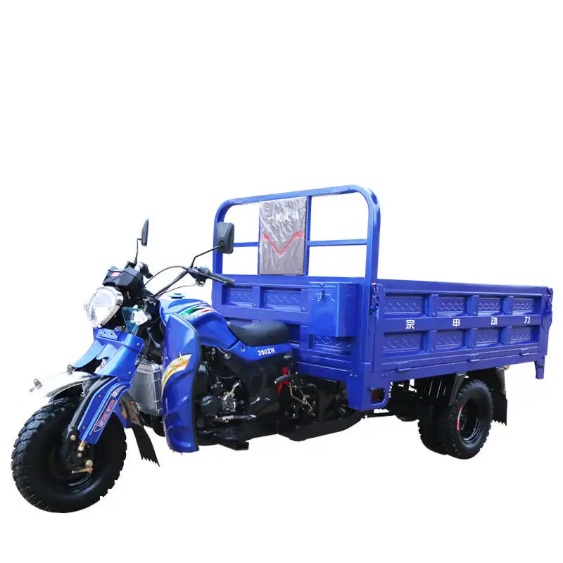 300cc Heavy Load Tricycle Water Cooled Engine Motorized Tricycle Reliable Cargo Transport For Adults