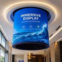 Module de film flexible Écran d'affichage LED Affichage LED direct d'usine en gros