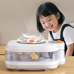 Incubadora de Huevos de Gallina, Producto Nuevo, 8/12/16 Huevos de Aves, Incubadora Automática de Huevos de Ganso, Máquina de Codorniz para Enseñar a los Niños - Product Image 1