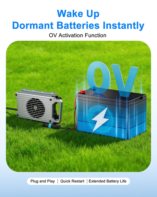 LNLEE 72V 10A Two Wheeler Battery Charger for 60V 20Ah Moped Electric Motorcycle Dustproof Sealed for Rugged Terrain Use