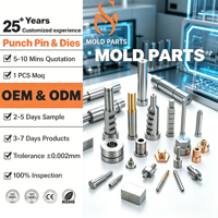 Punch Tungsten Carbide Presisi Tinggi, Alat Presisi untuk Pengepresan