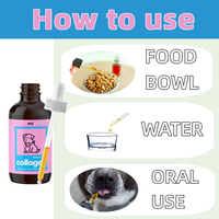 Complément alimentaire pour animaux de compagnie OEM Premium Fed Collagen Drop pour chien et chat, pour la peau et le pelage, les articulations, les ongles, soulagement des allergies, complément de collagène liquide
