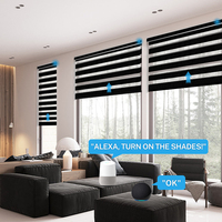Persianas motorizadas eléctricas automáticas operadas por batería controladas por Wifi, persianas de cebra para ventanas de oficina y hogar