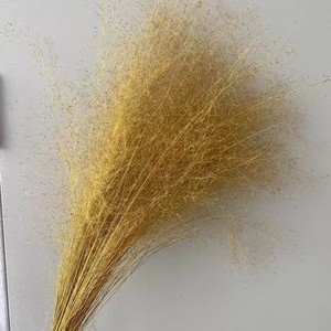 Tự nhiên Ins Hot khô <span class=keywords><strong>muhly</strong></span> Cỏ khô tự nhiên pampas cỏ cho địa điểm tổ chức đám cưới trang trí & giáng sinh hoa sắp xếp - Product Image 4