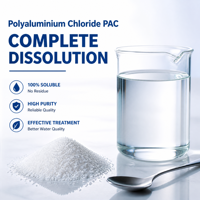 Coagulant au chlorure de polyaluminium pour la prétraitement de l'eau pharmaceutique