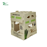 Boîtes d'emballage pour fruits, boîtes en plastique ondulé, boîtes en plastique pour fruits, boîtes d'emballage pour légumes, boîtes en plastique pour légumes