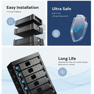 Dyness Stack100, Batería de Iones de Litio Apilable de Alto Voltaje de 51.2v, 30kw 40kw, Sistema de Almacenamiento de Energía Solar Lifepo4 - Product Image 4