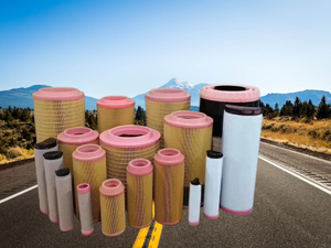 1397764 kualitas tinggi penjualan laris suku cadang mesin mobil penyaring minyak pelumas P550630 11397764 1529636 2240170 20267616 WOE44429 - Product Image 5