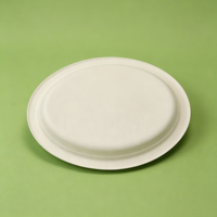 Assiette de service ovale de 12 pouces en bagasse de canne à sucre, sans BPA, biodégradable, compostable, pour les fêtes, les plats à emporter et la restauration