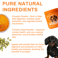 Poudre de citrouille pour animaux de compagnie, marque privée OEM, supplément en poudre pour chiens, boîte de 300g, additif alimentaire pour animaux, personnalisable
