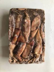 Totano Intero Congelato del Pacifico Nord 10kg BQF Fornitura all'Ingrosso - Product Image 1