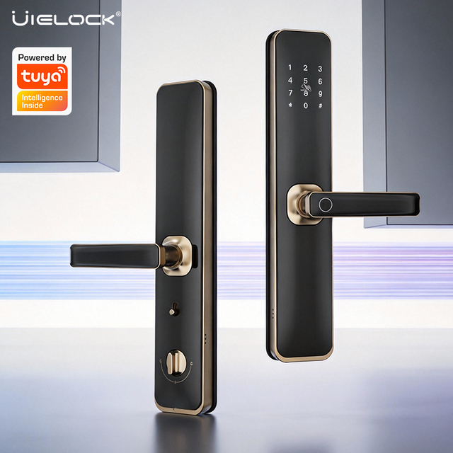 Best-selling Aluminum Alloy Tuya WiFi Smart Door Lock Fingerprint Recognition for Indoor Wooden Steel Glass Doors Cloud Support